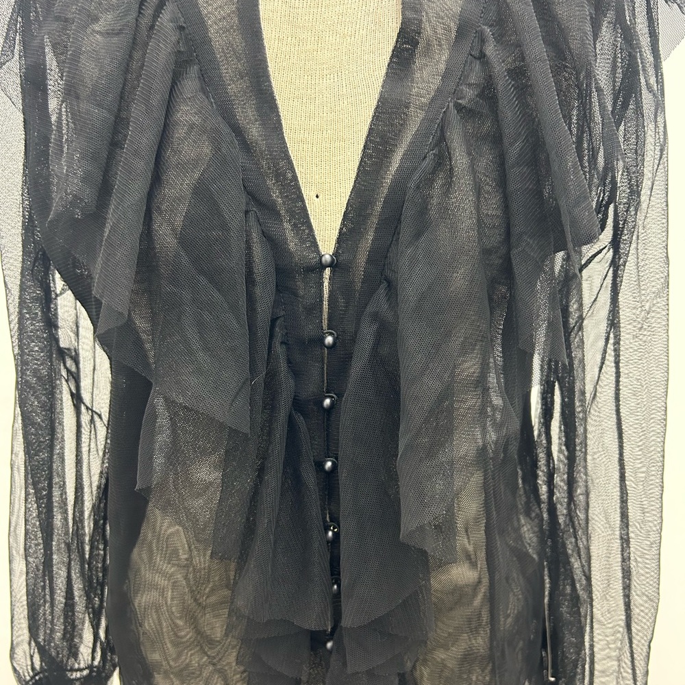 Zara Black Sheer Ruffle Blouse - Picture 2 of 10